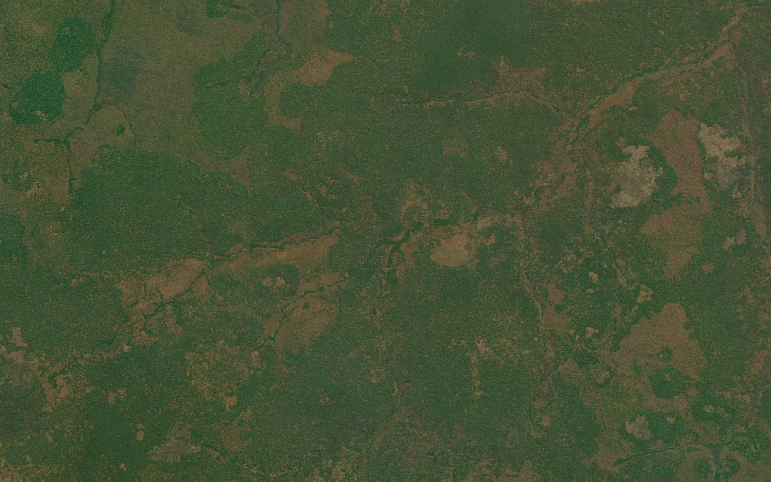 Kasenene