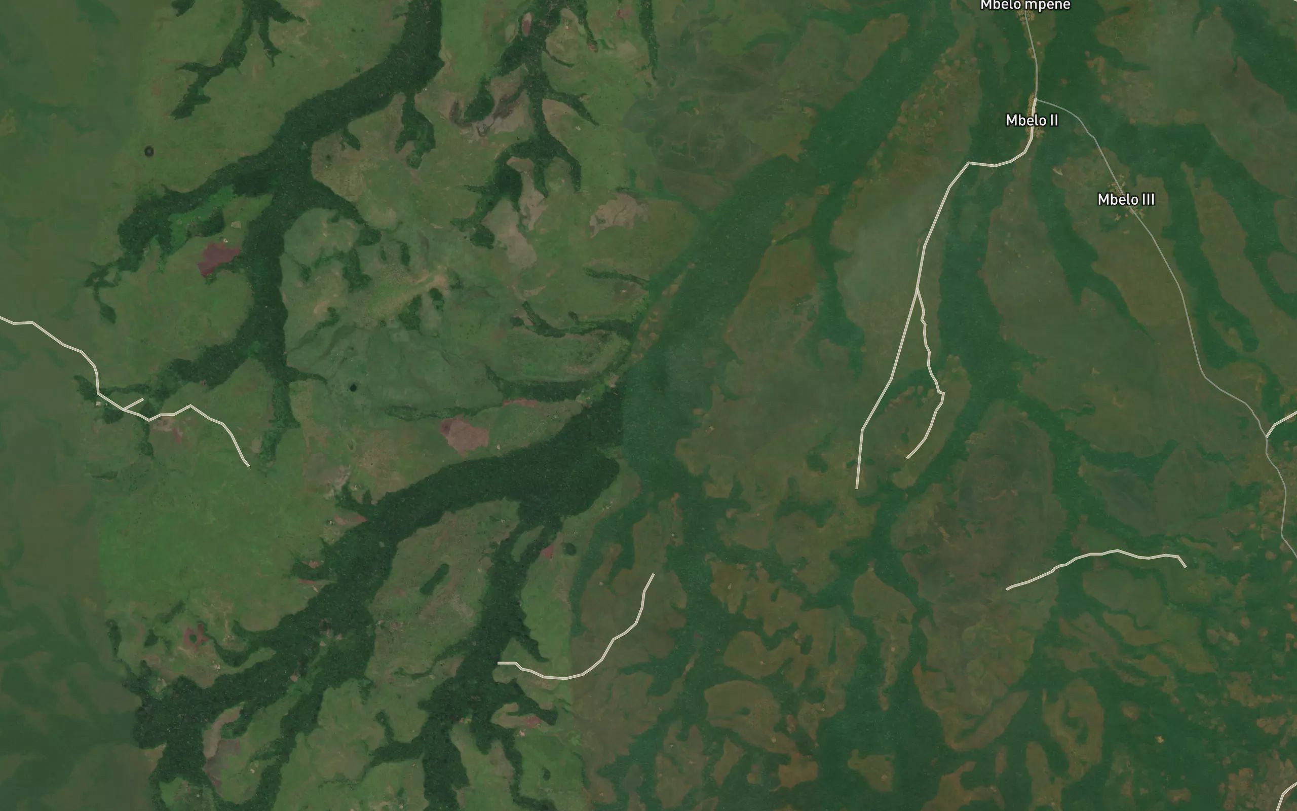 Lungu