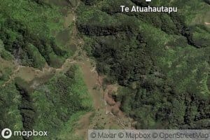 Waiopu Stream