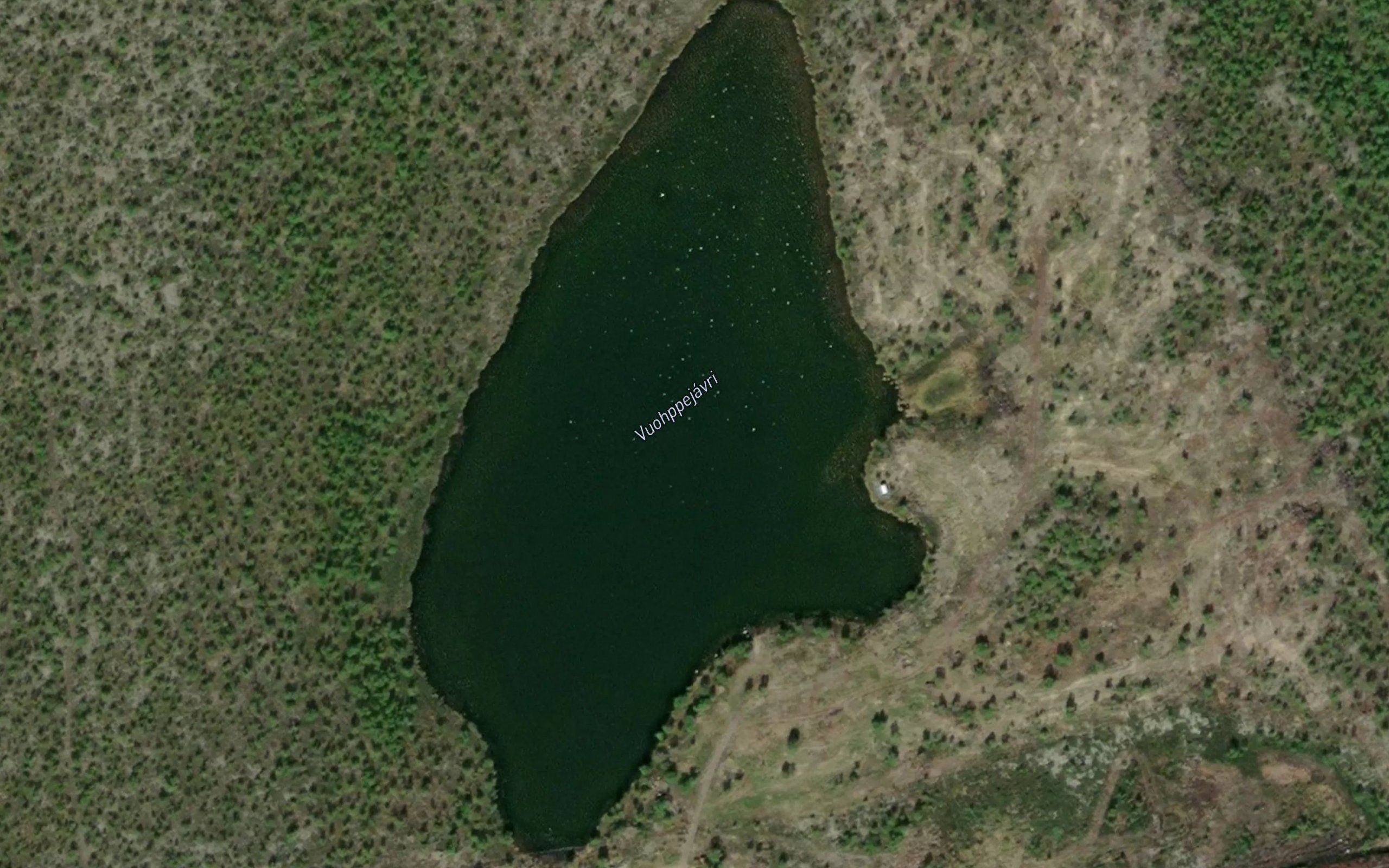 Vuohppejavri