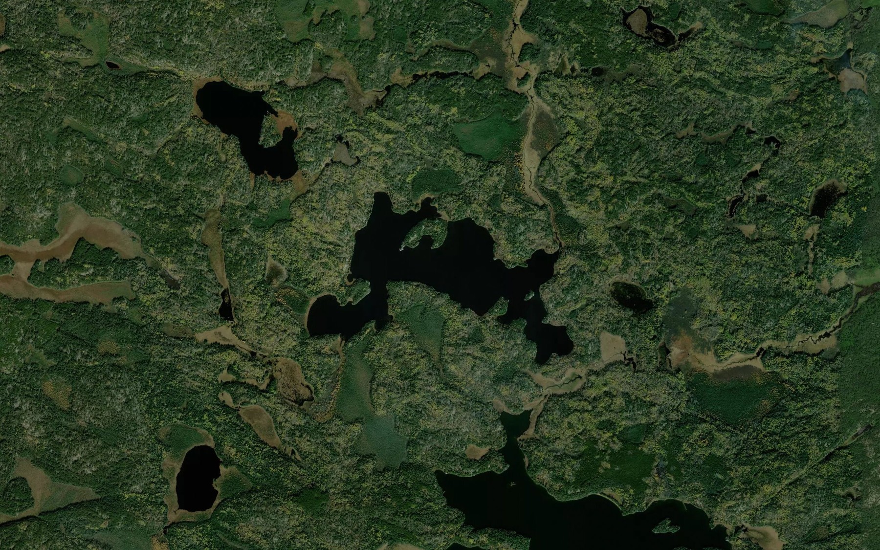 Satellite map of the Barras Lake