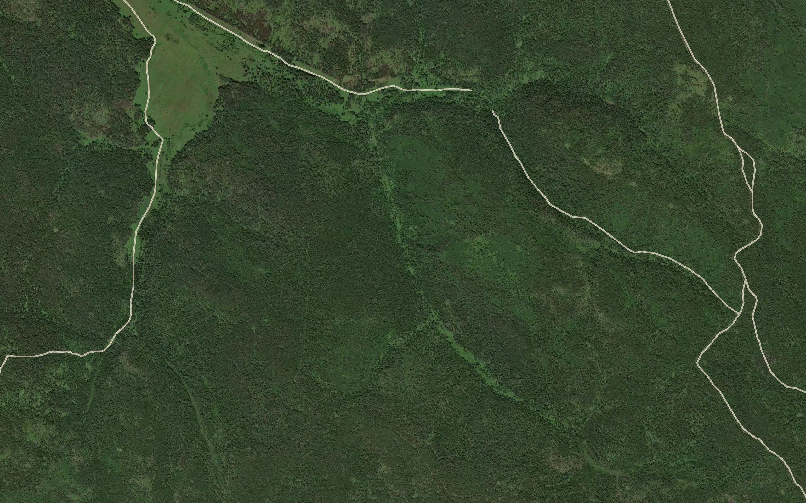 Pad' Khitkhot