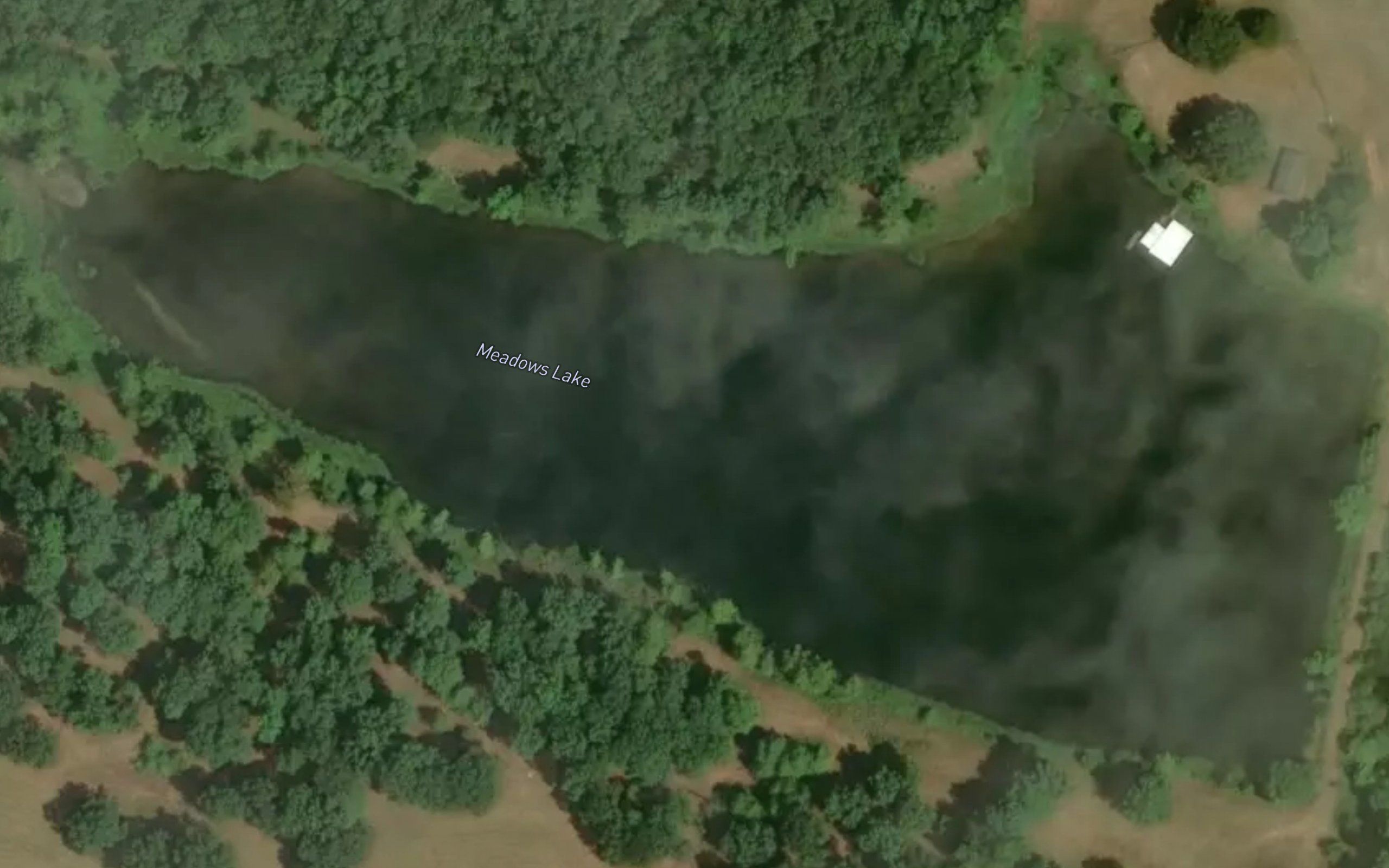 Meadows Lake