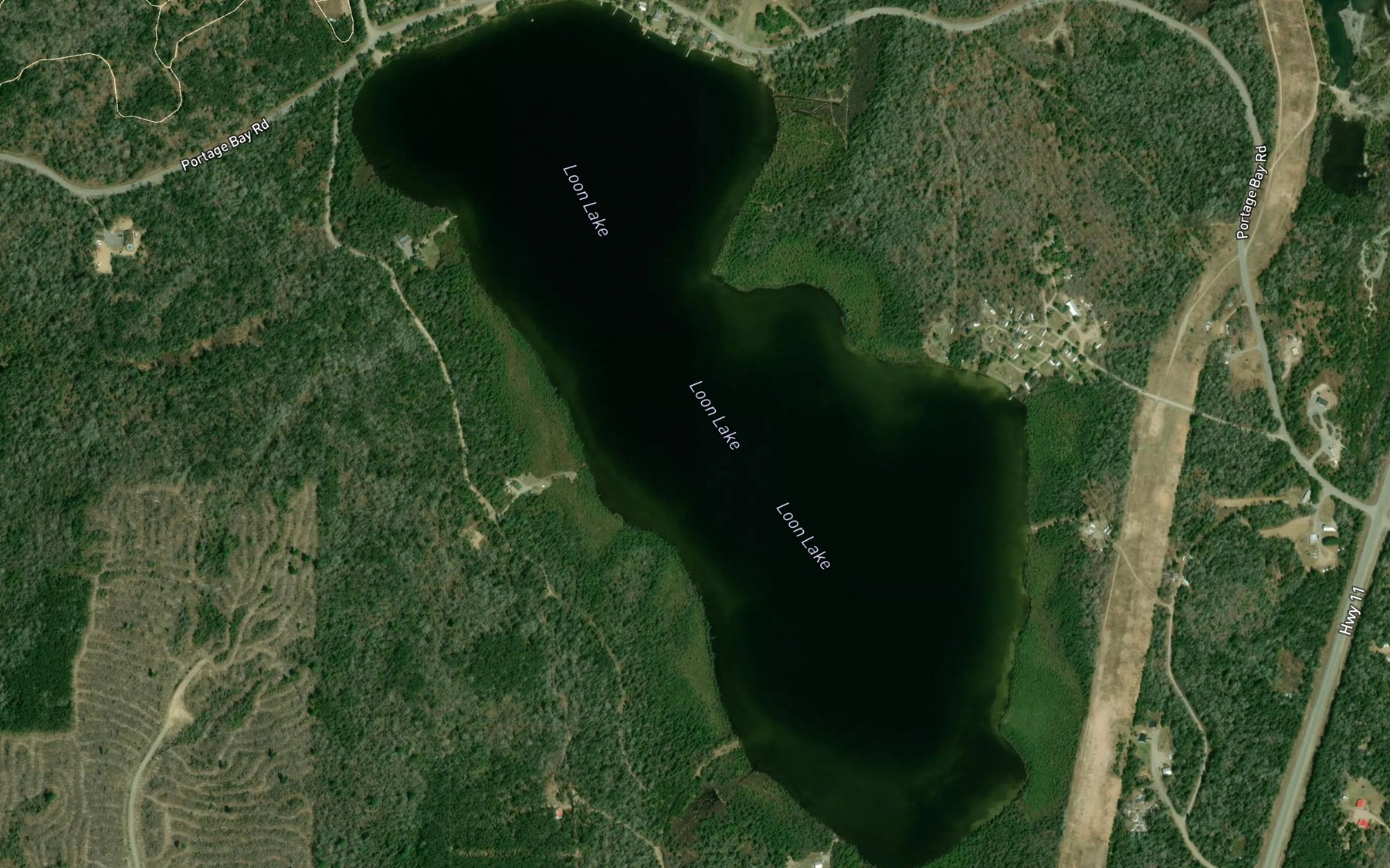 Satellite map of the Loon Lake