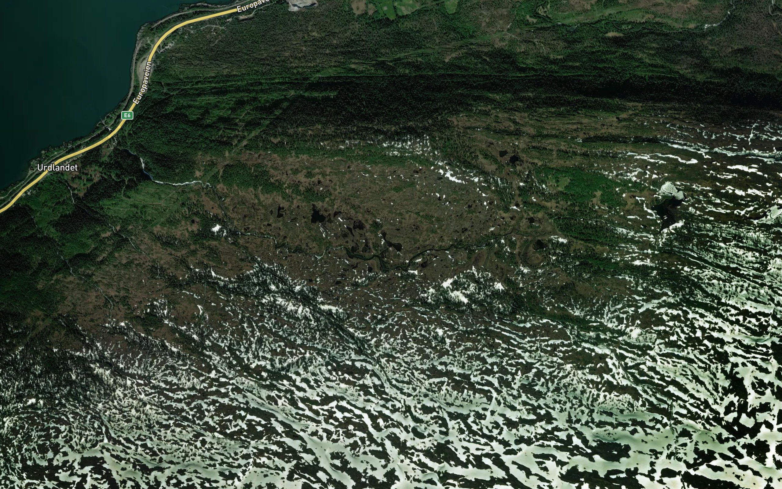 Bernhardtjorna