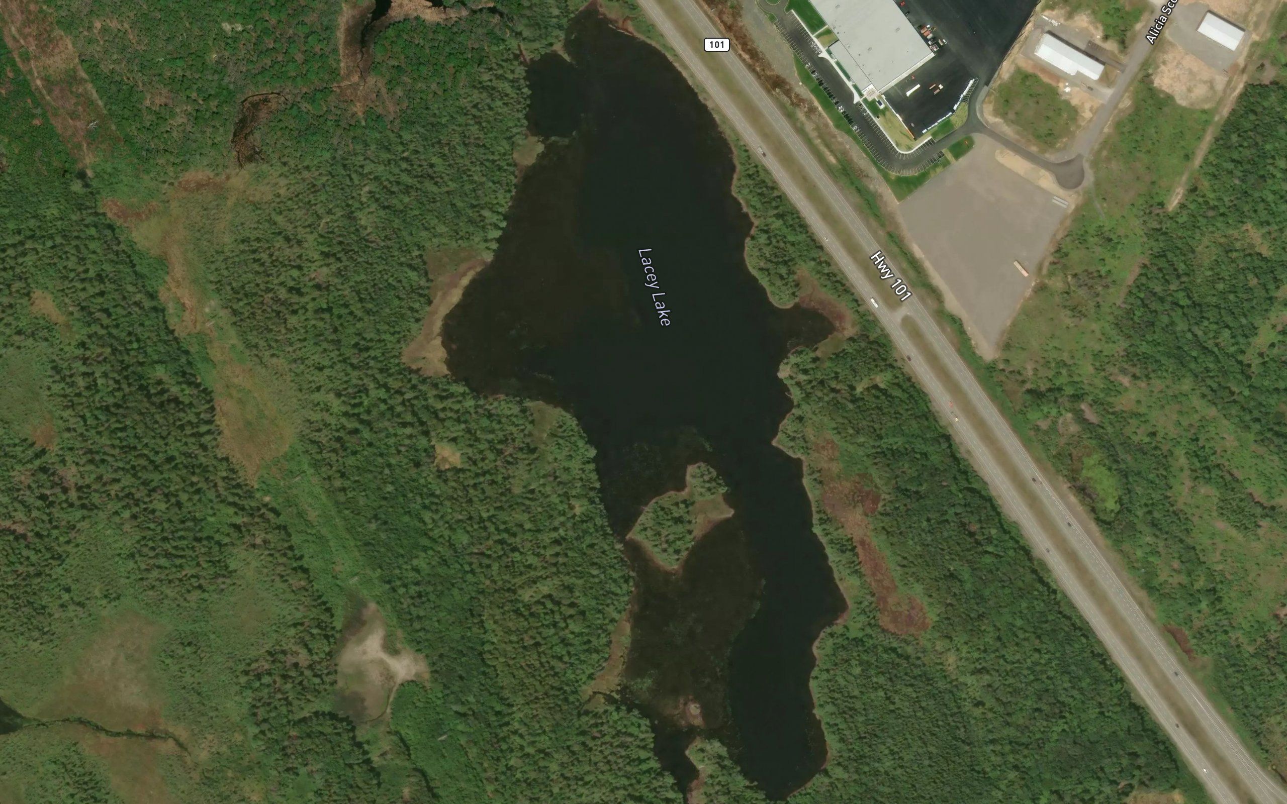 Lacey Lake