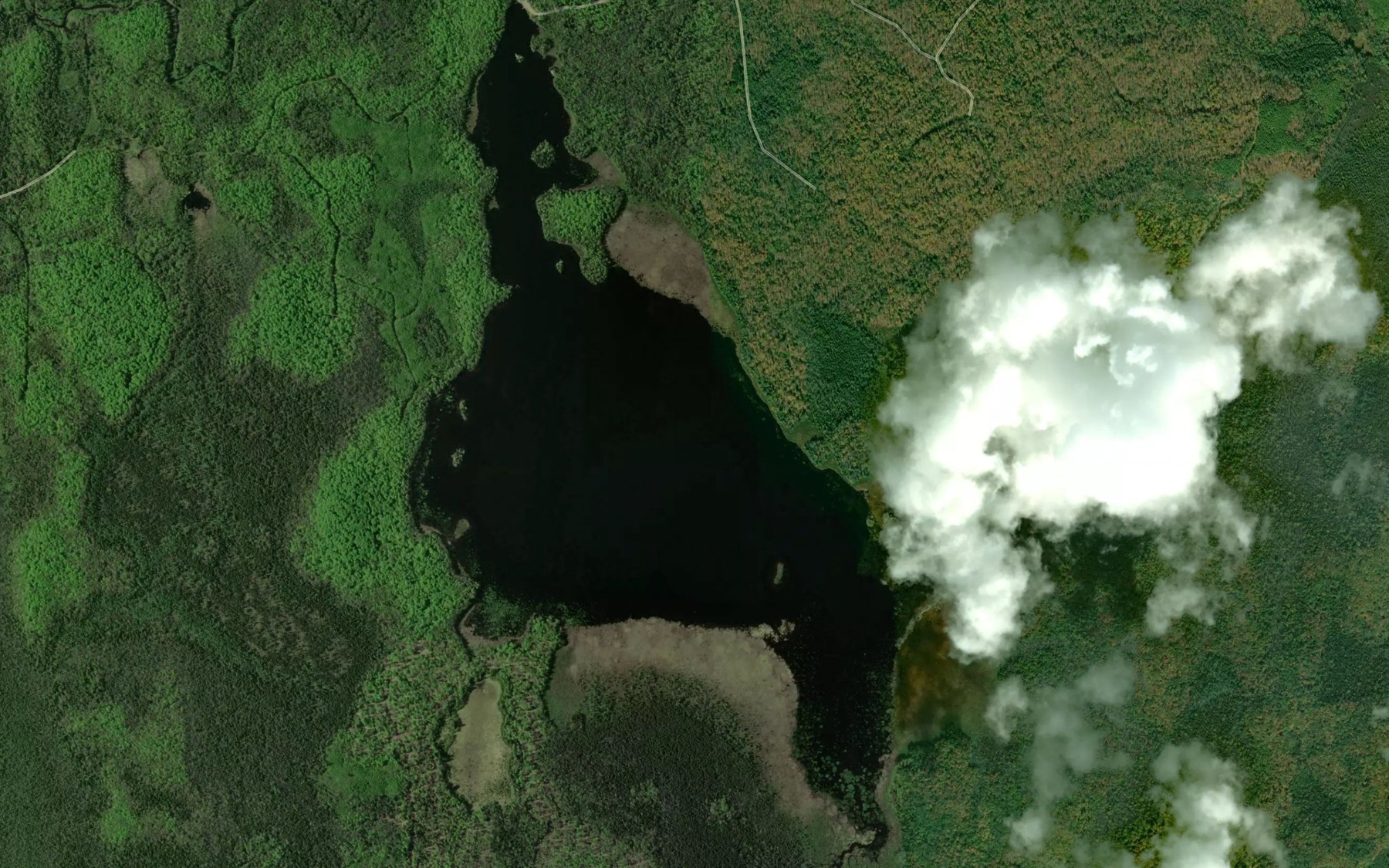 Satellite map of the McDonald Lake