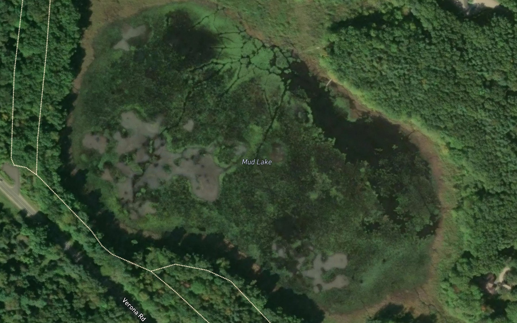 Satellite map of the Mud Lake