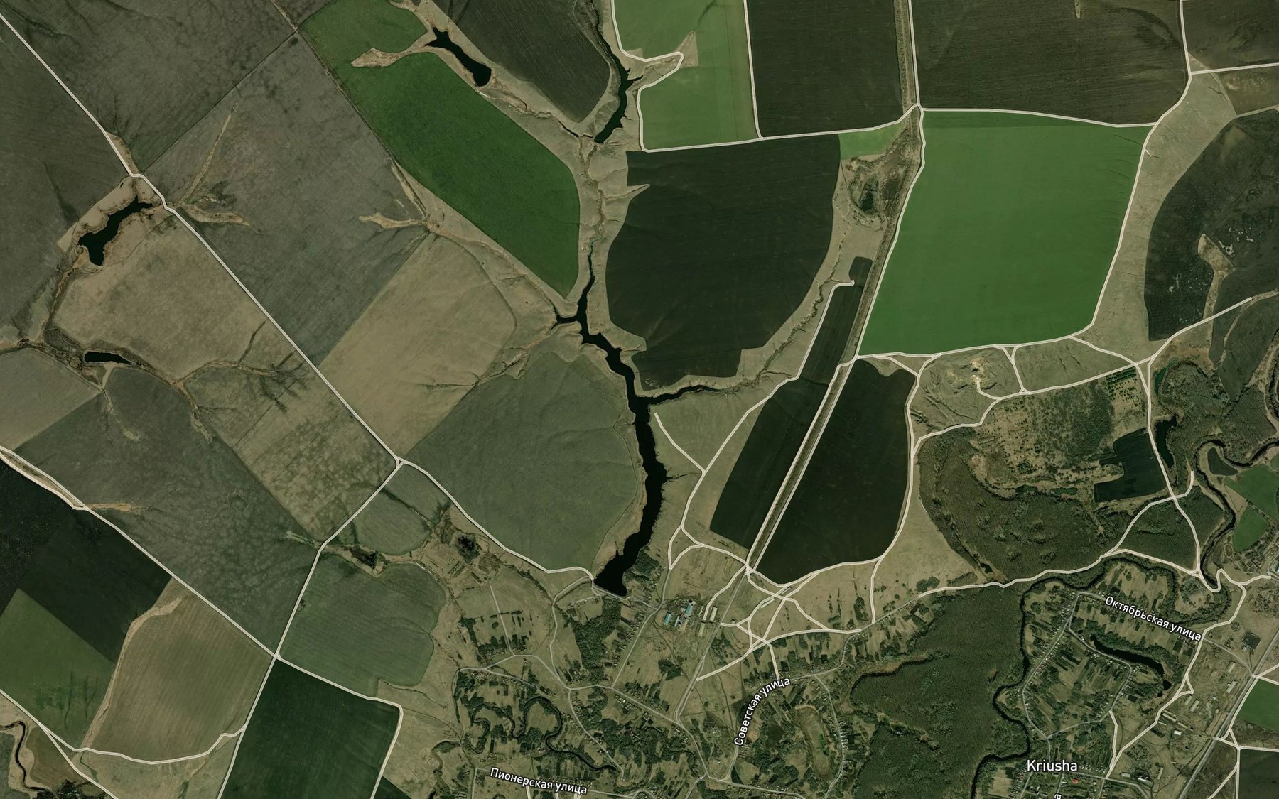 Satellite map of the Prud Berezovyy