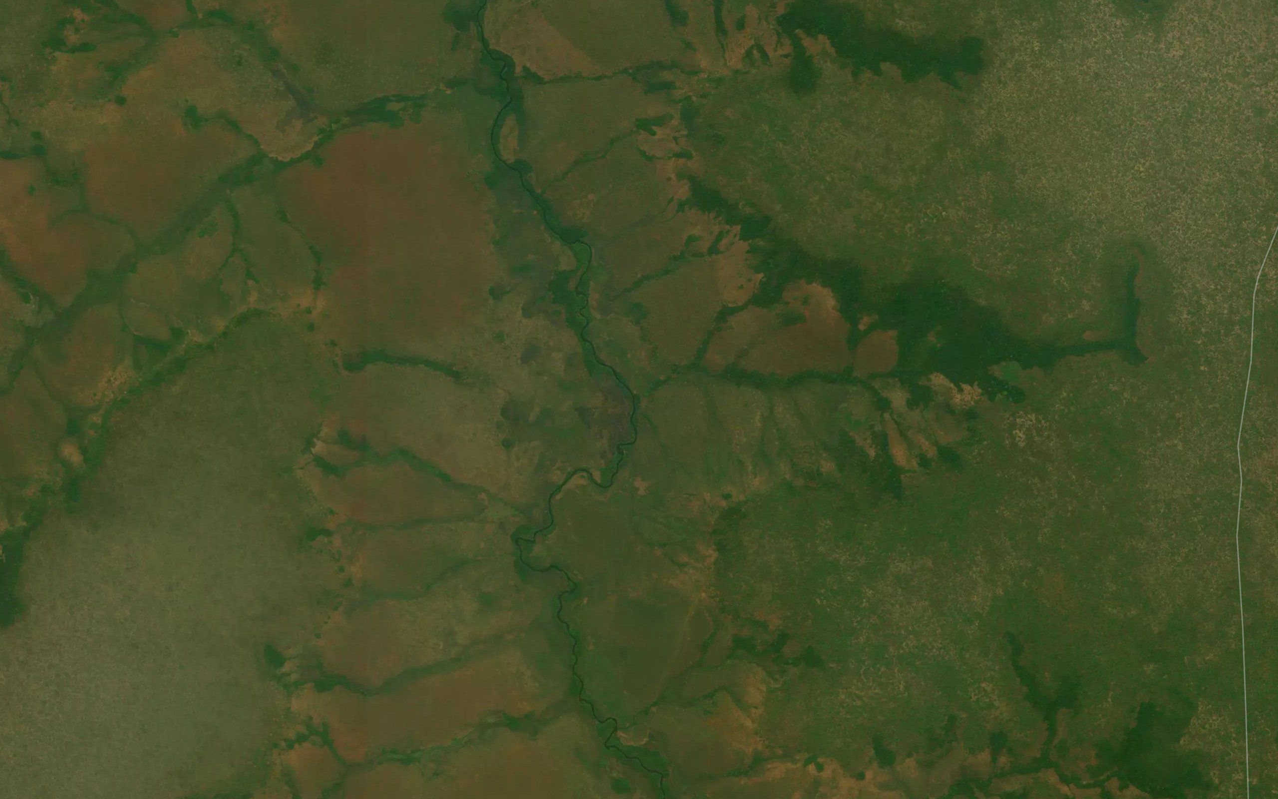 Ngala