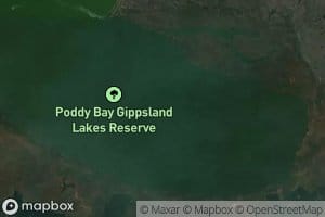 Poddy Bay