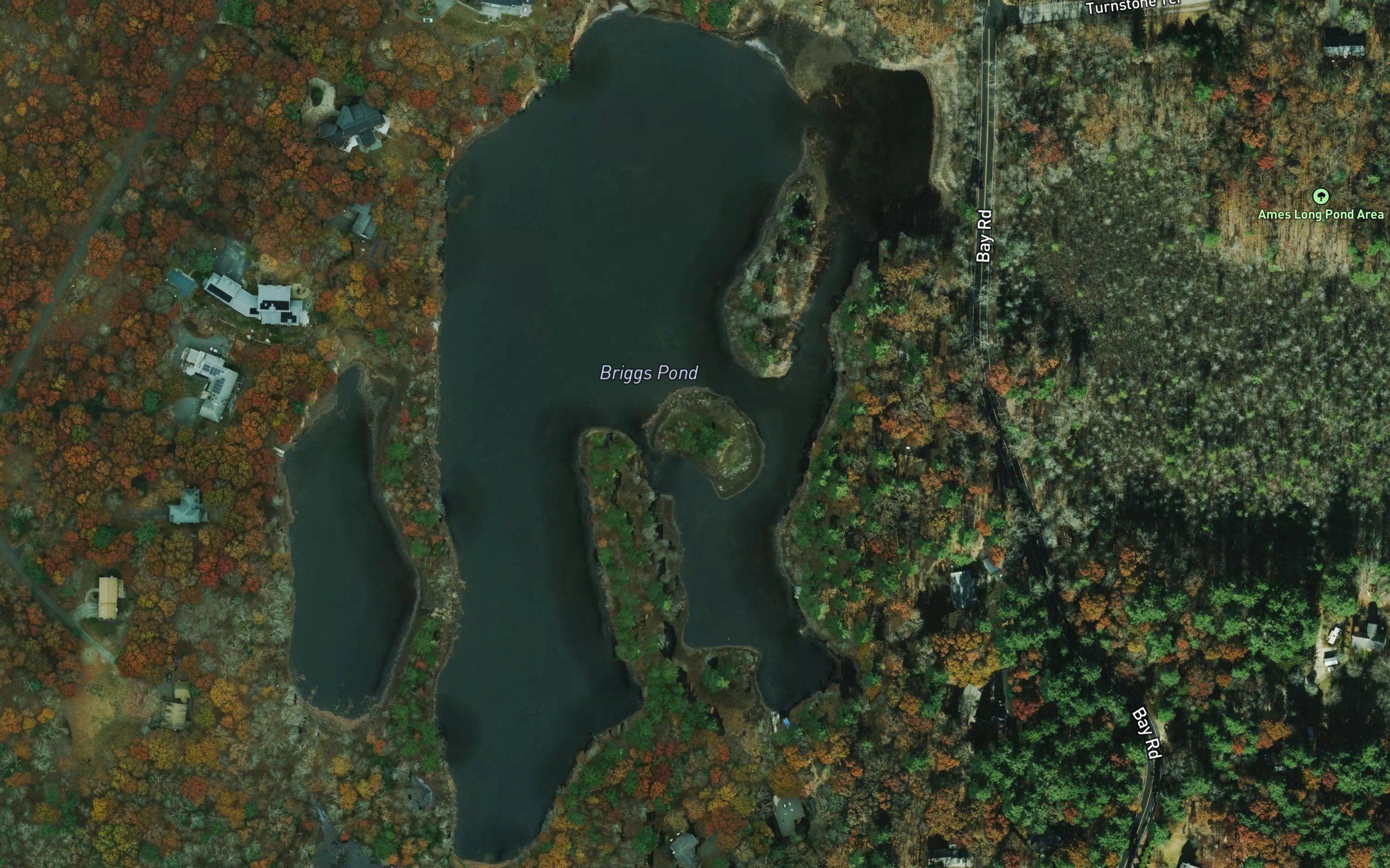 Briggs Pond