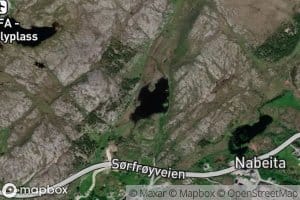 Ladalstjorna