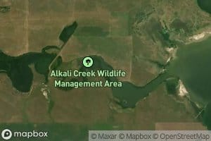 Alkali Creek