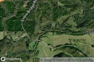 Cane Creek