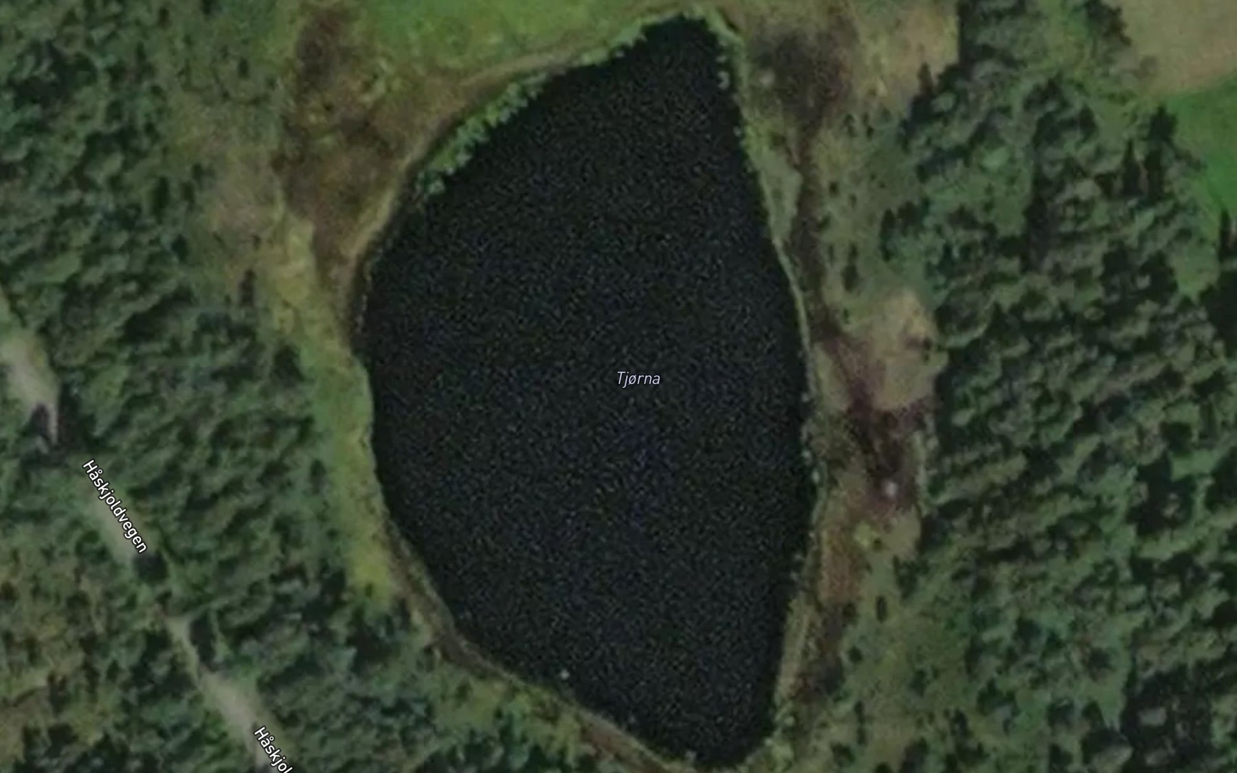 Satellite map of the Tjorna