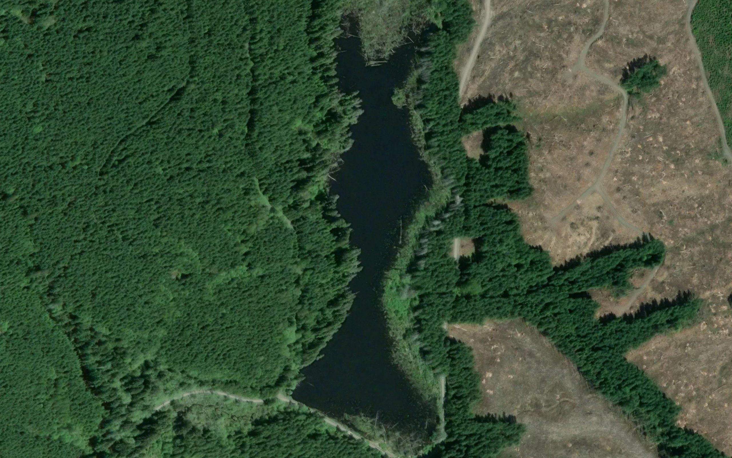 Chitwood Lake