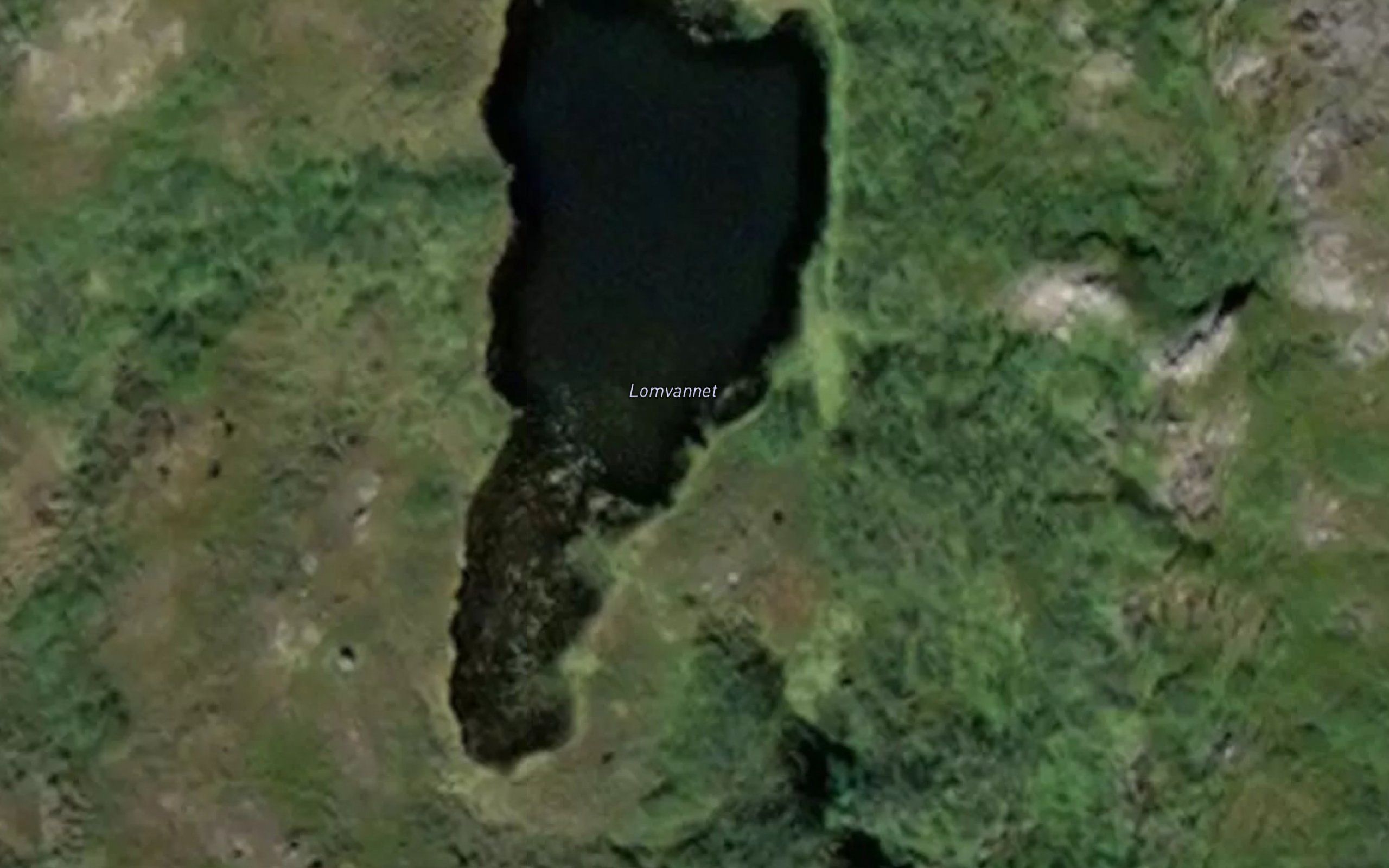 Lomvatnet
