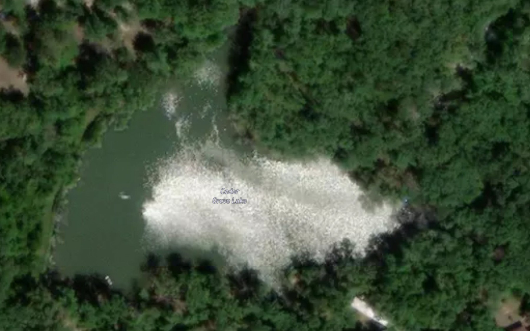 Satellite map of the Cedar Grove Lake