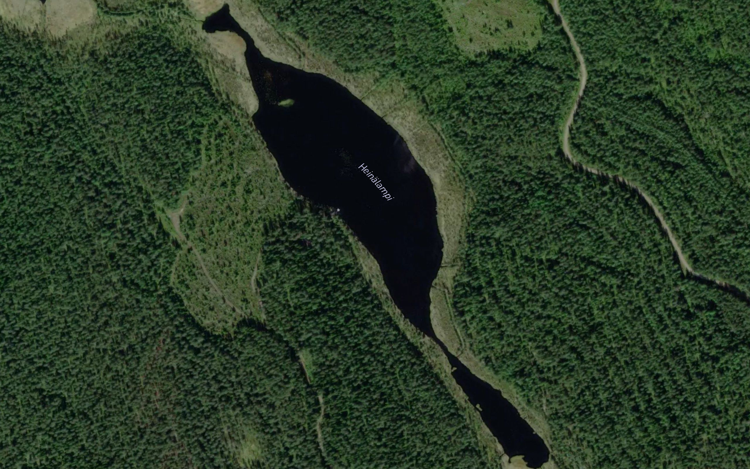 Heinalampi