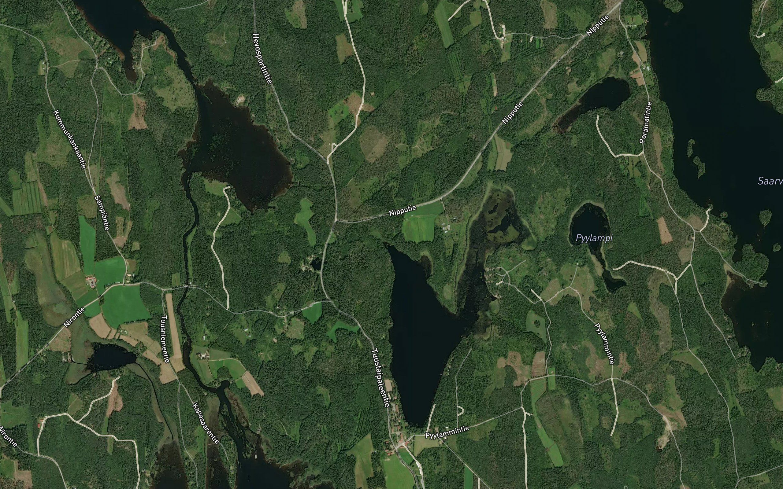 Koivuoja