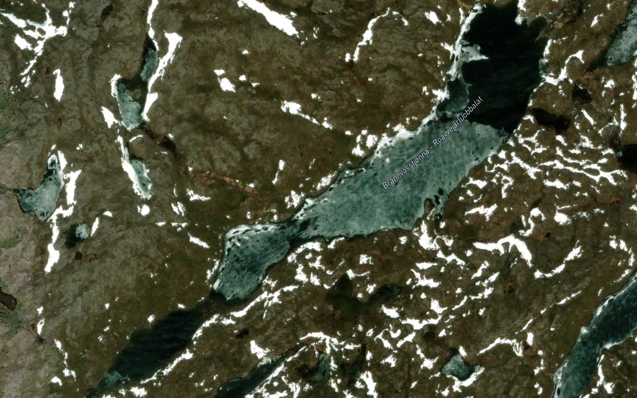 Roavvejarluobbalat