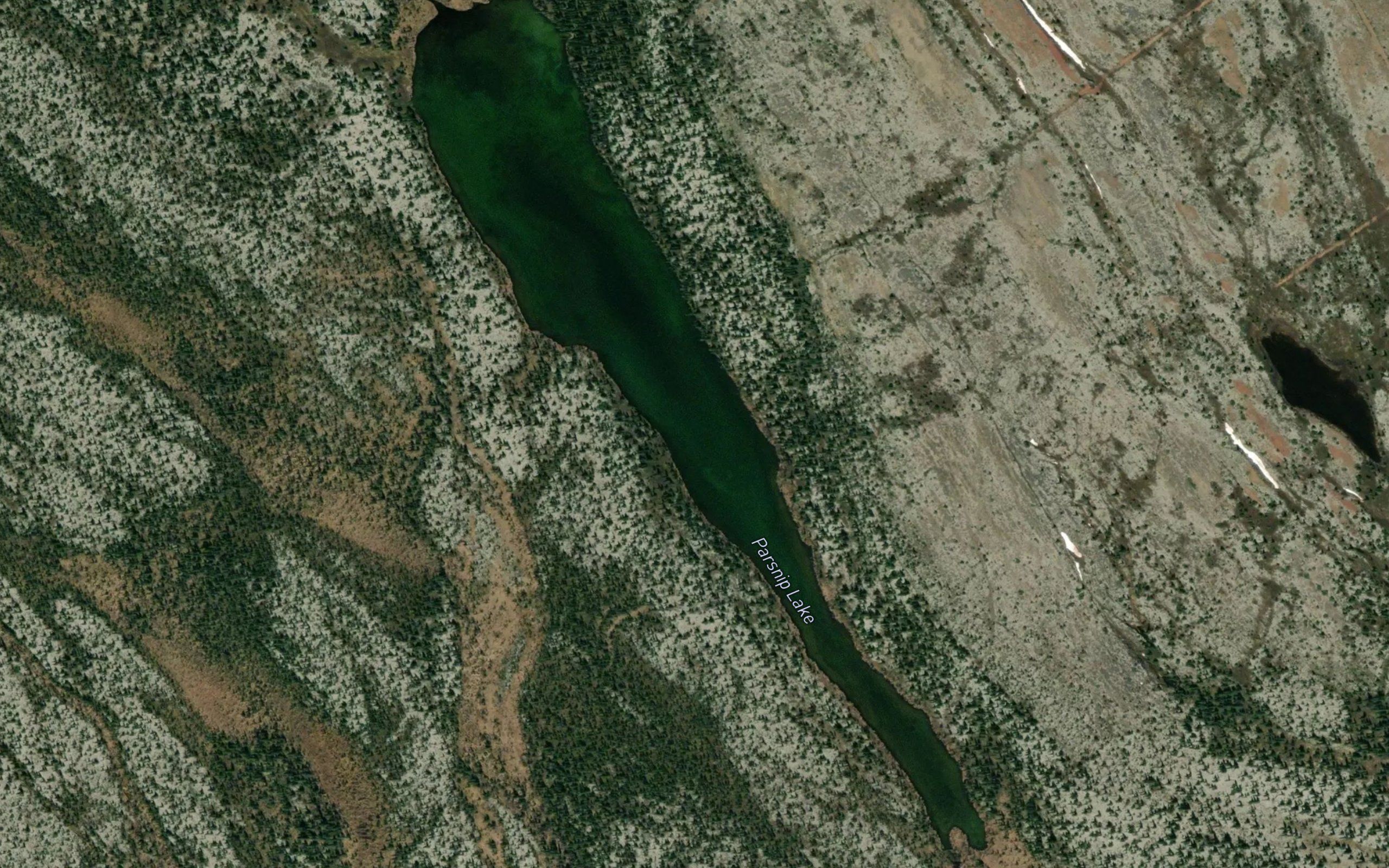 Parsnip Lake