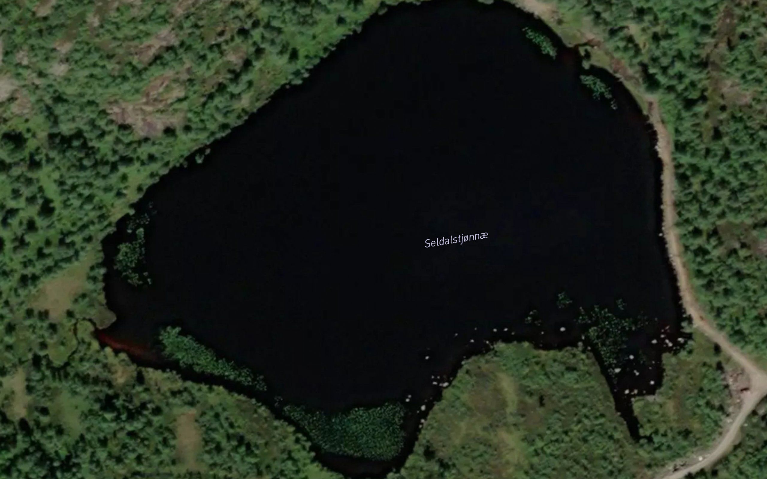 Seldalstjonnae