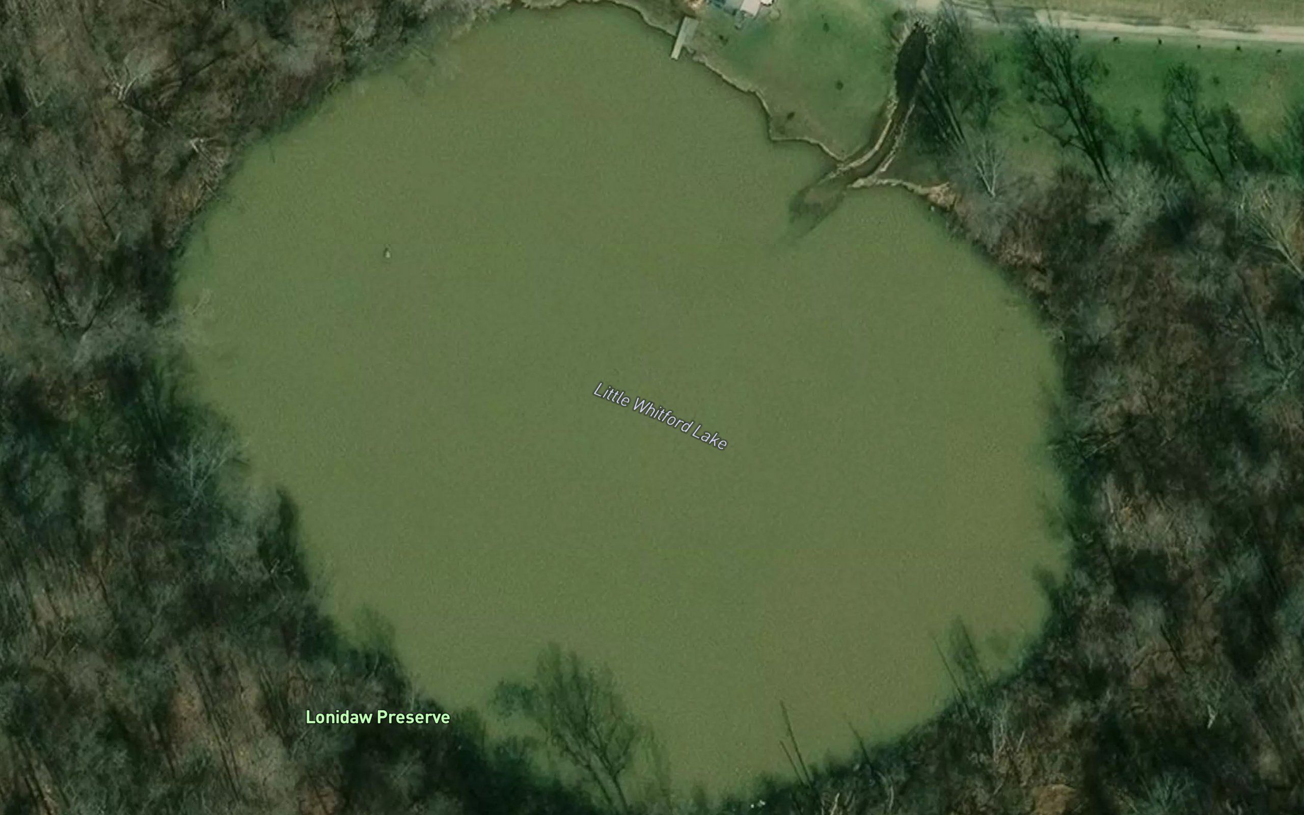 Little Whitford Lake