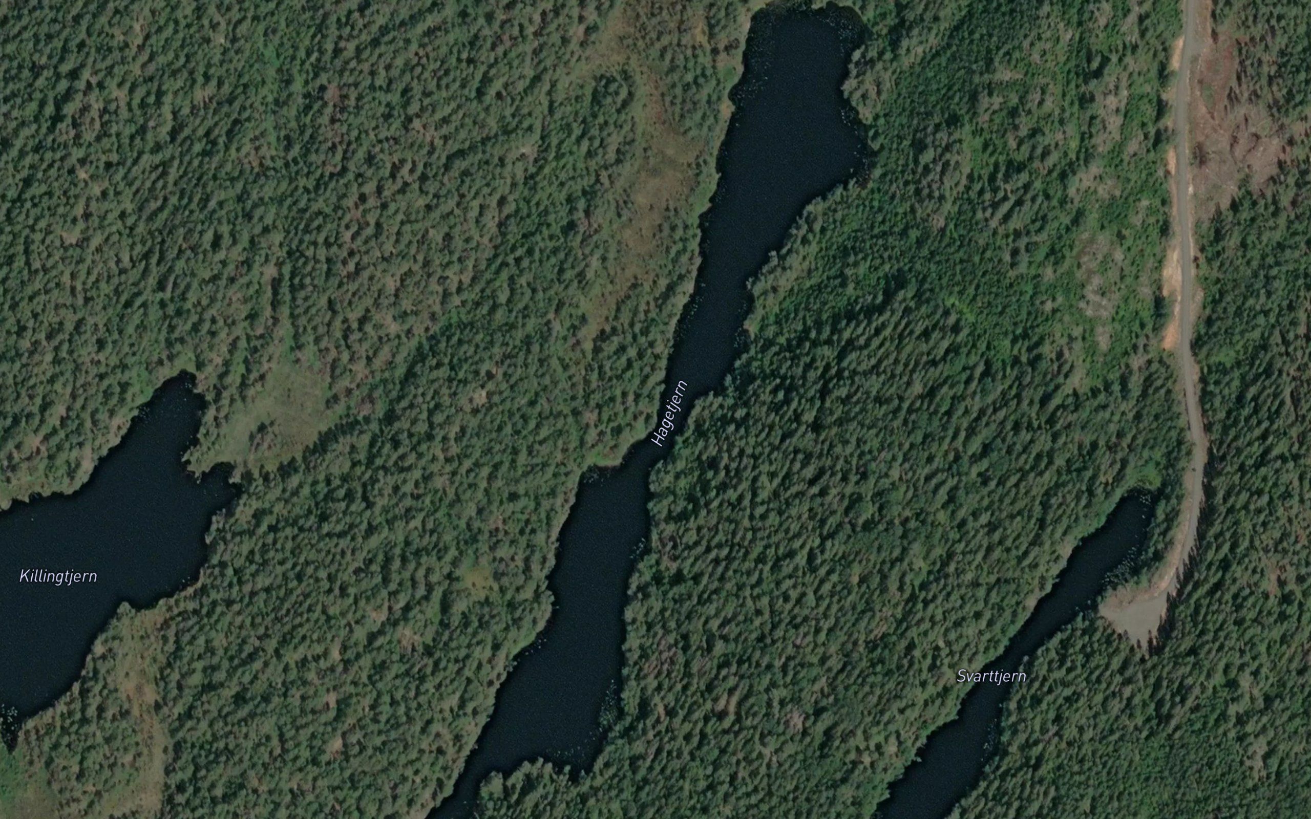 Hagatjern