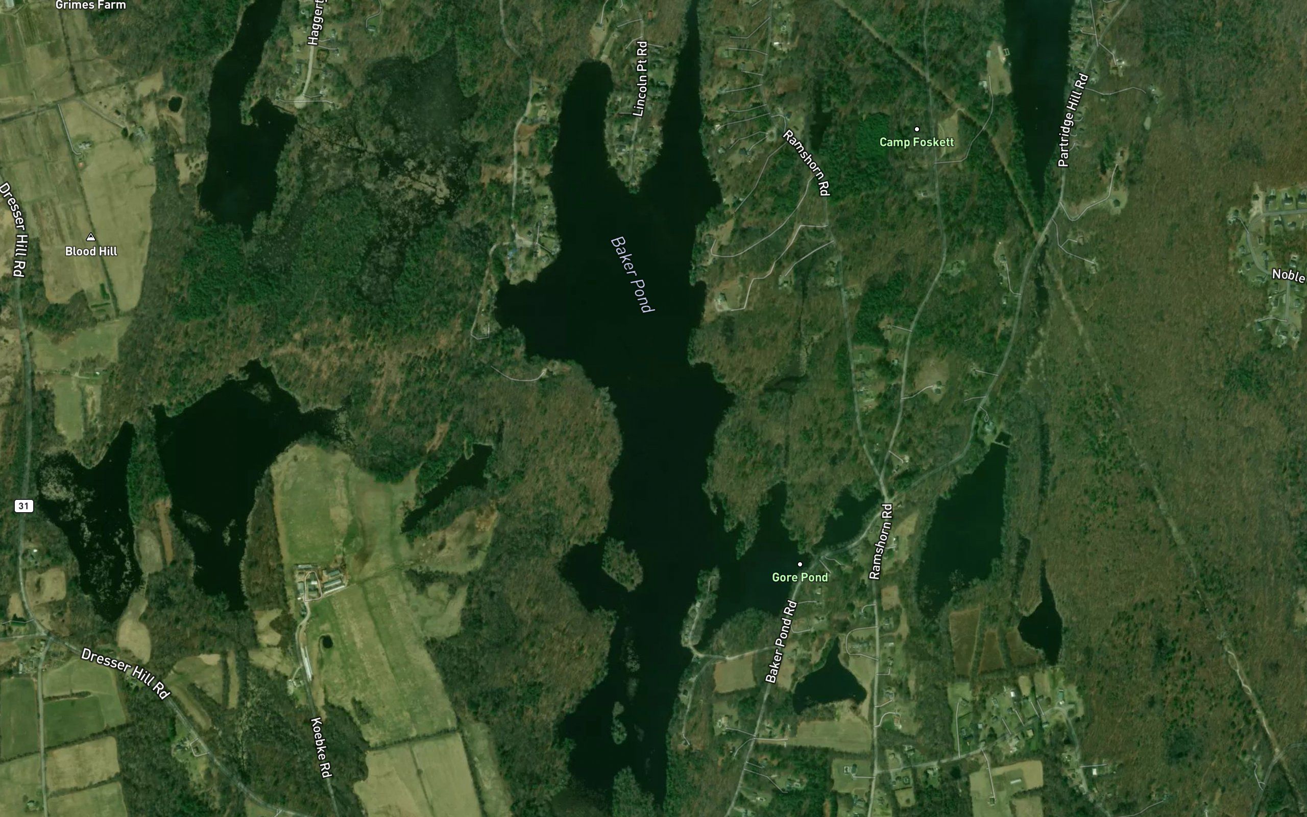 Baker Pond