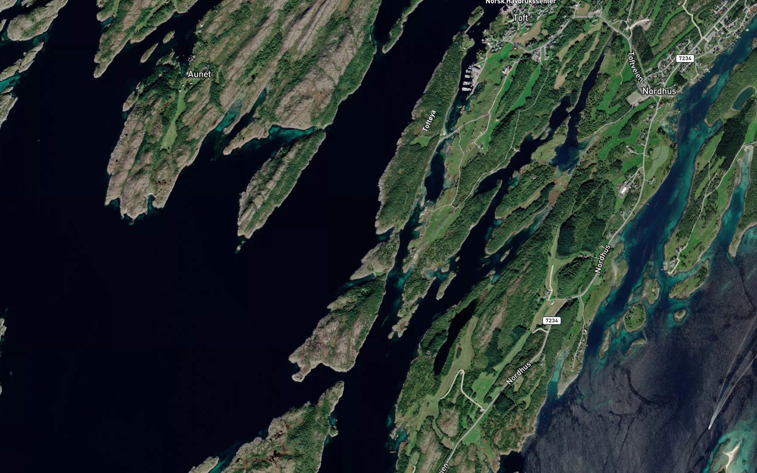 Linoybukta