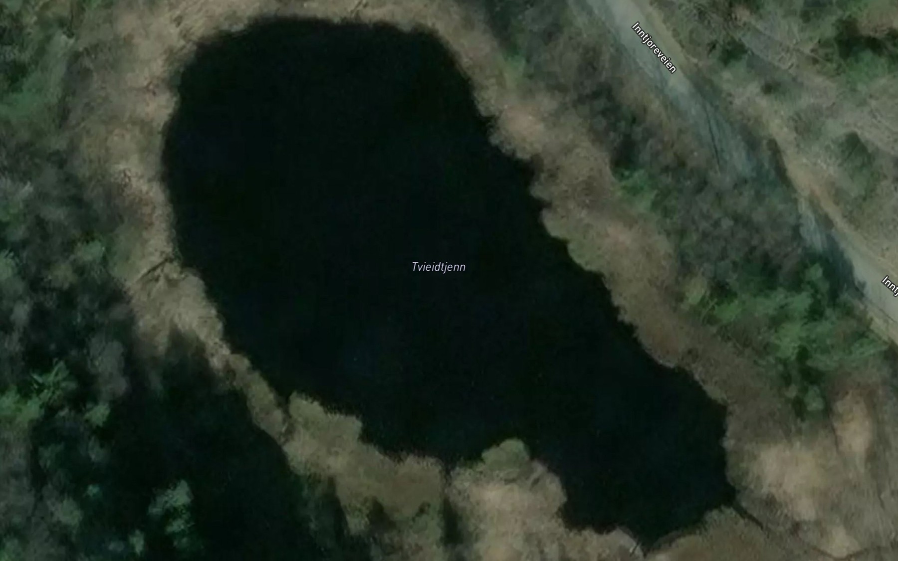 Satellite map of the Tvieidtjenn