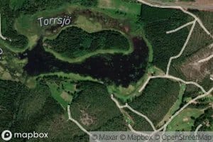 Torrsjo