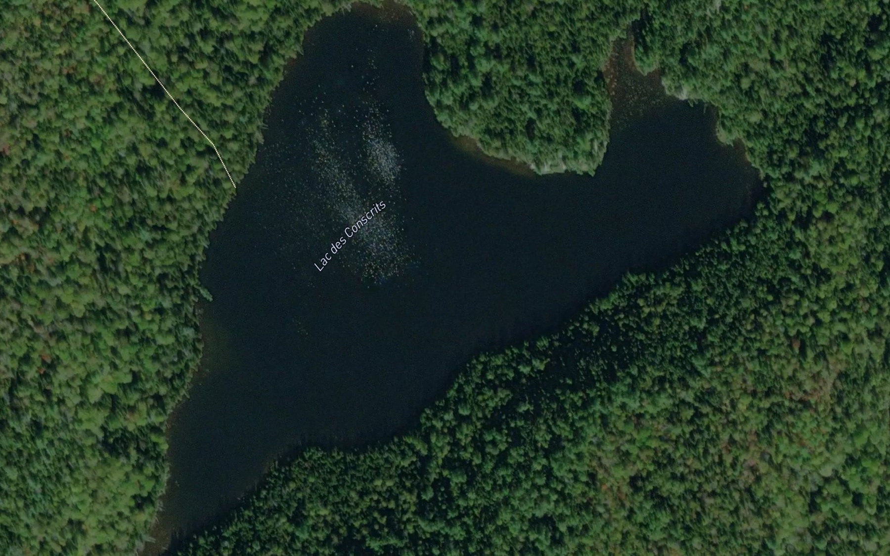 Satellite map of the Lac des Conscrits