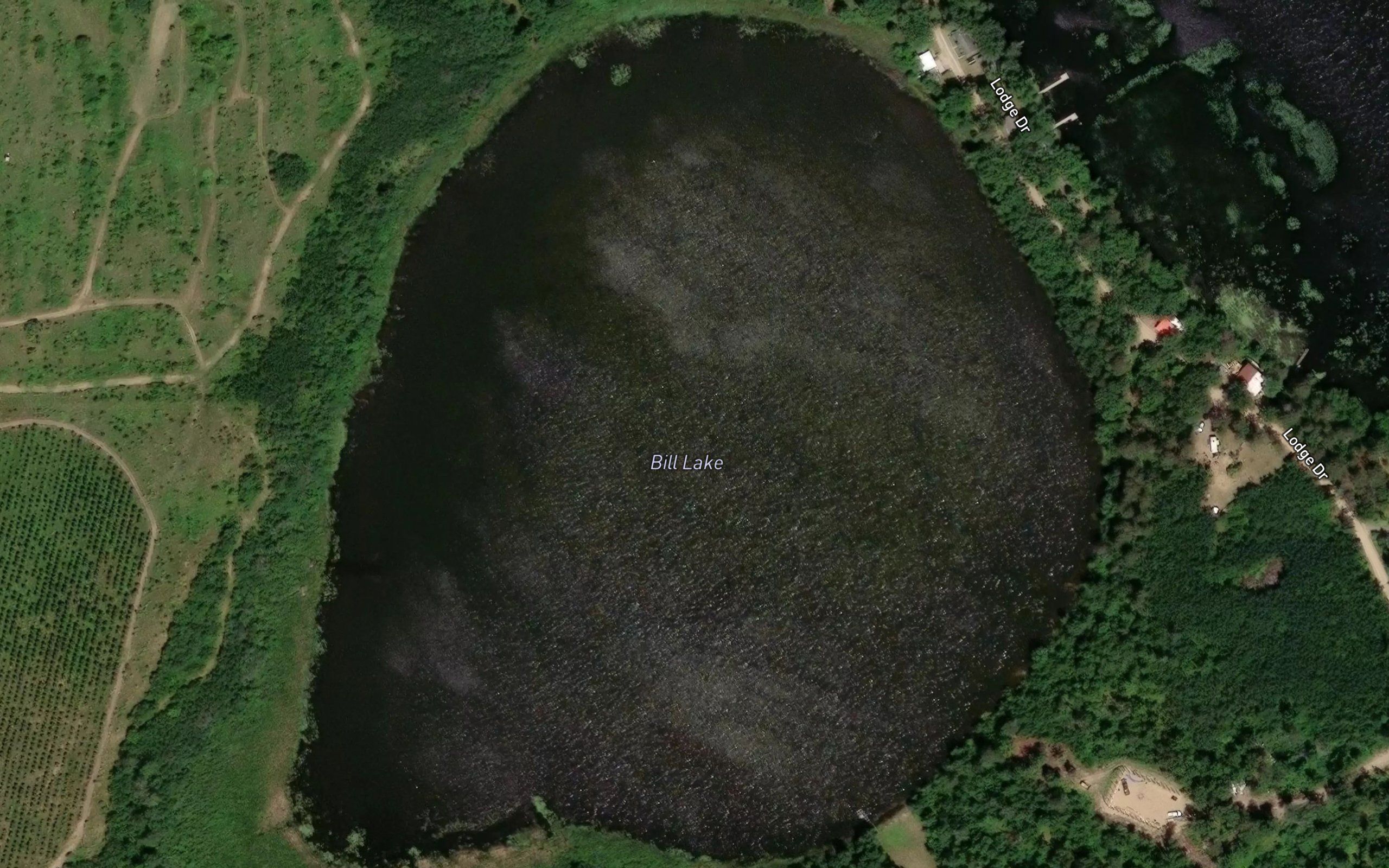 Bill Lake