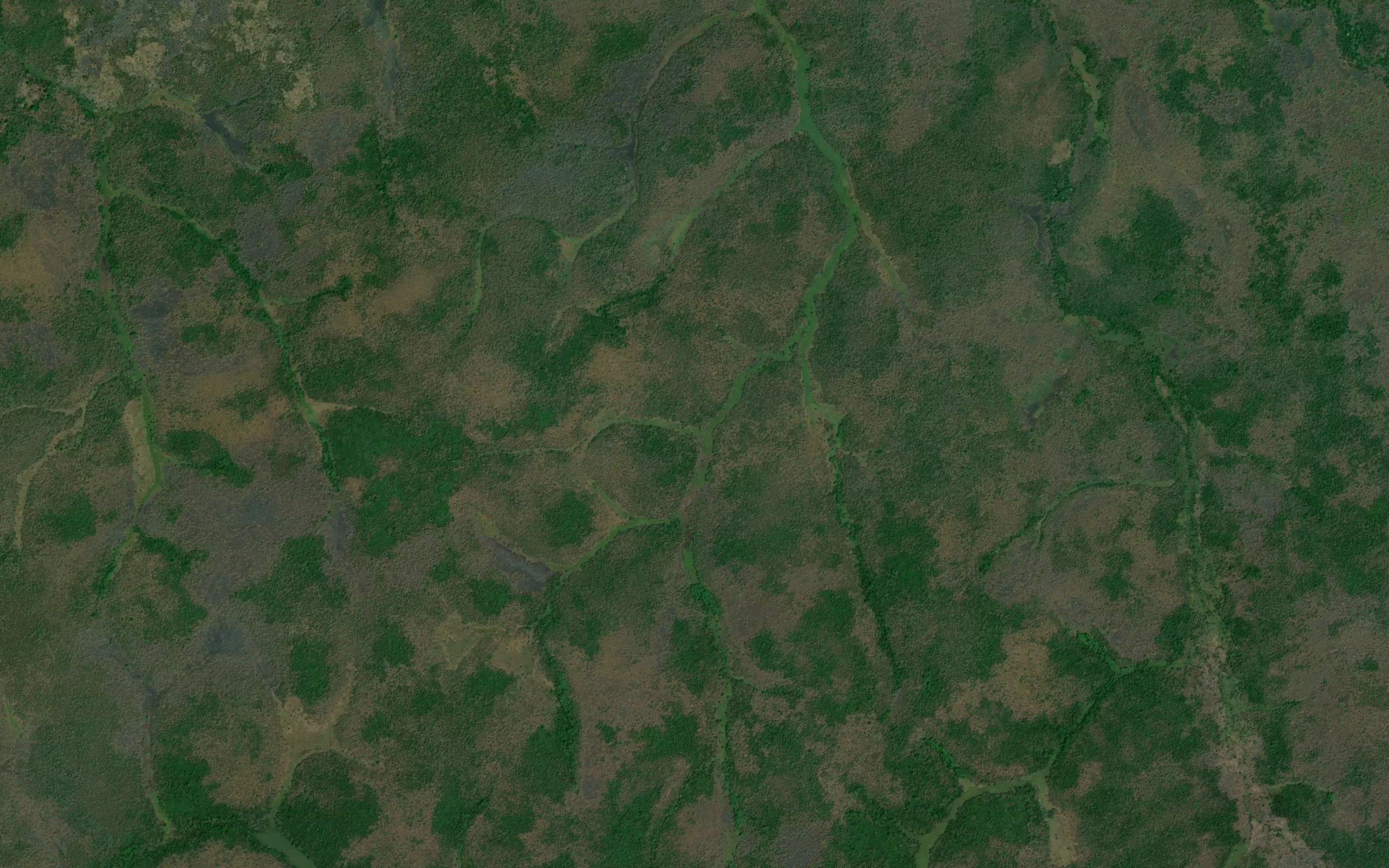 Mabokoboko