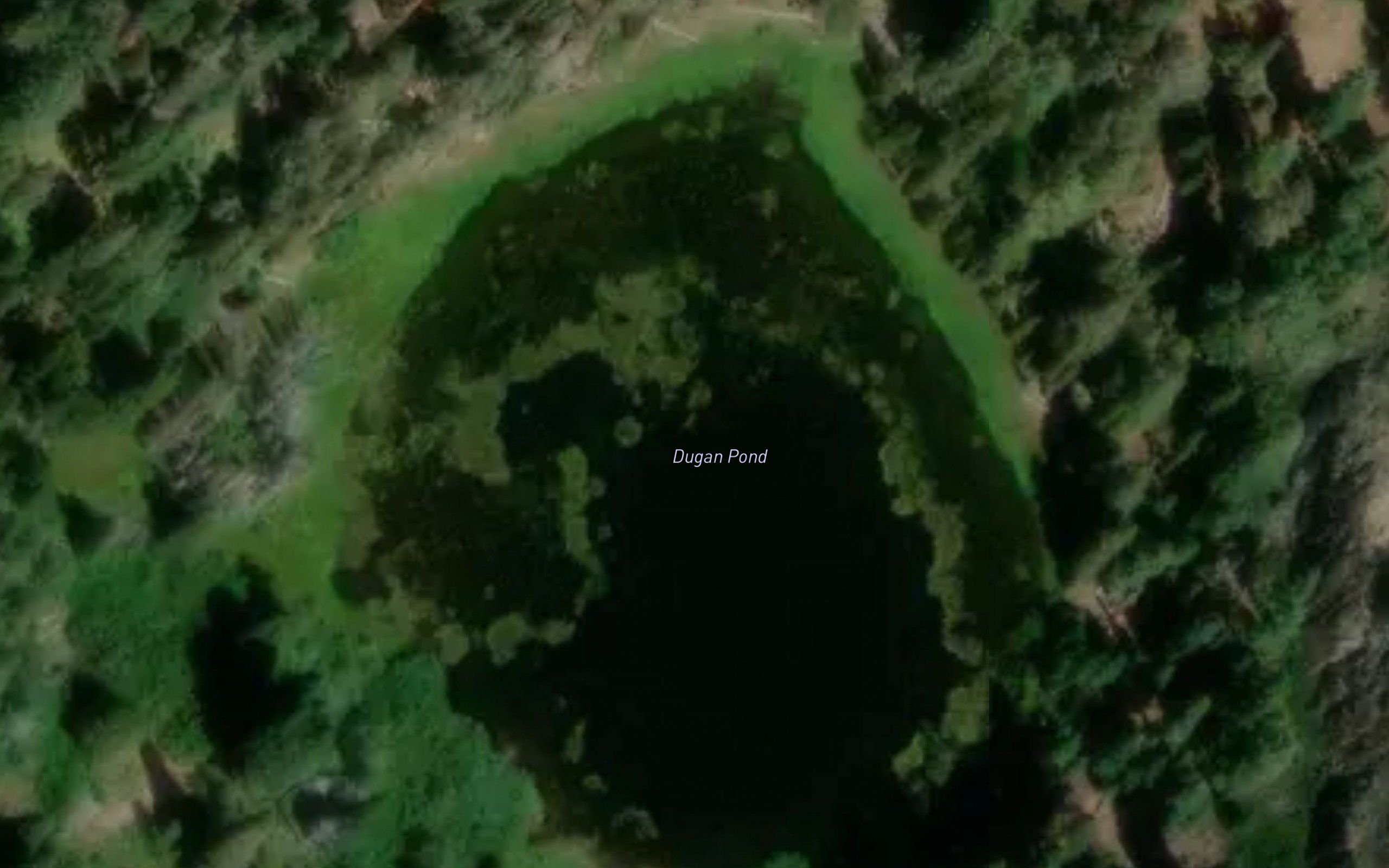 Dugan Pond