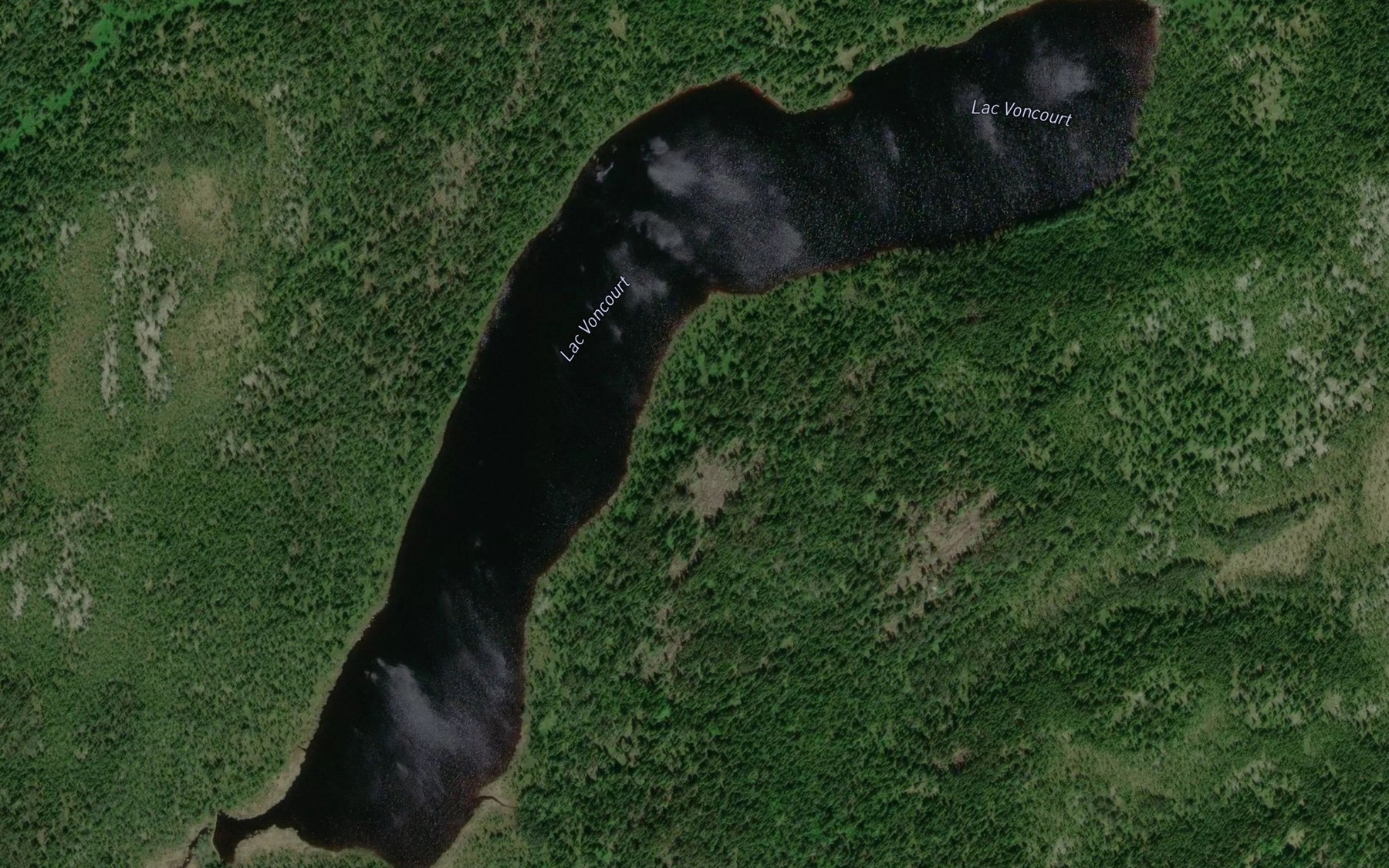 Satellite map of the Lac Voncourt