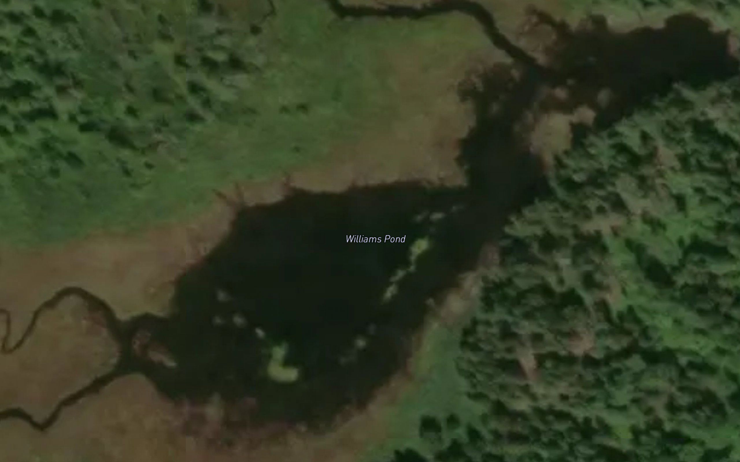 Williams Pond
