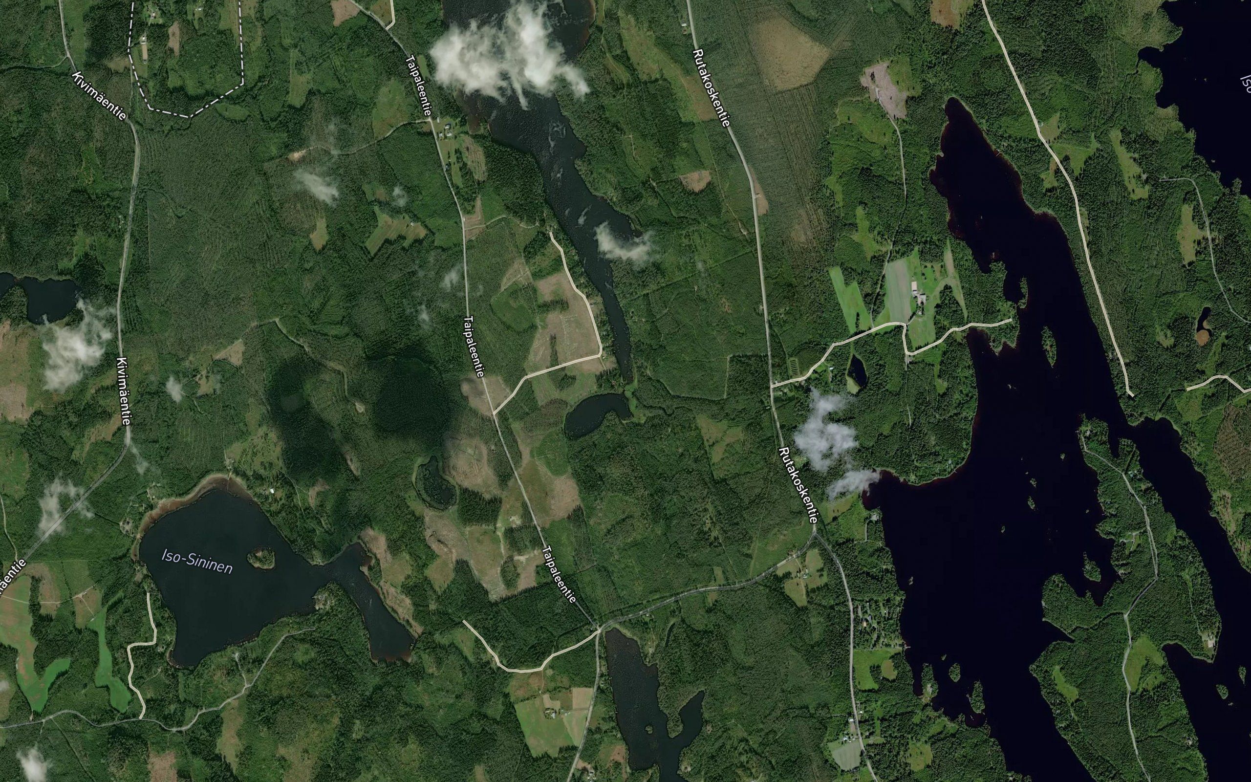 Rutajoki