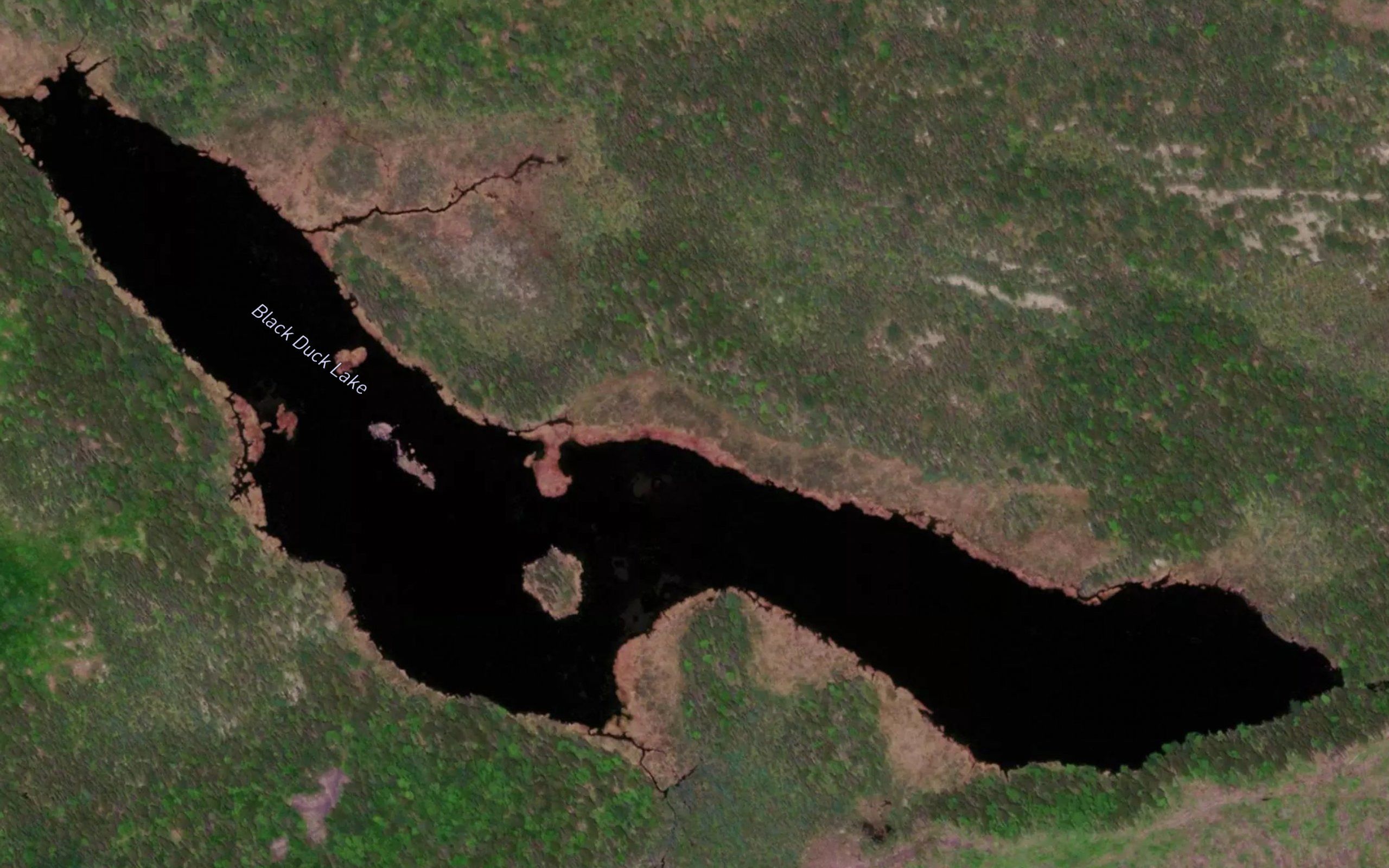 Black Duck Lake
