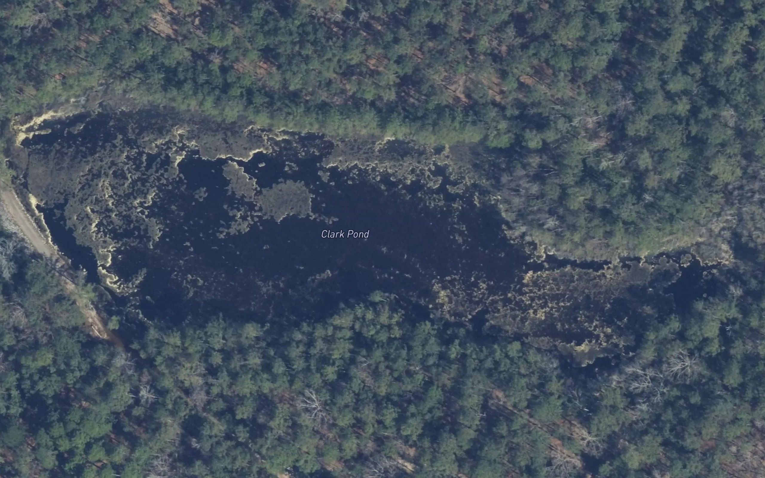 Clark Pond
