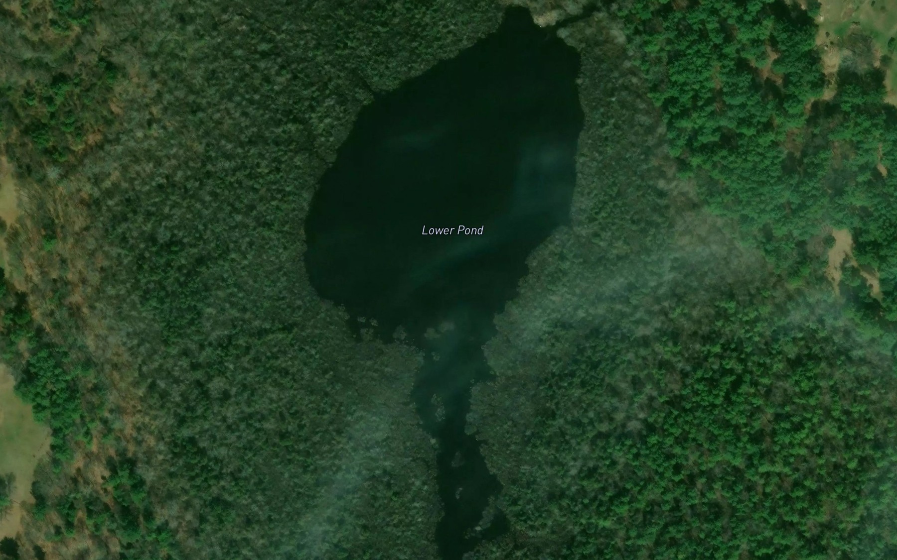 Satellite map of the Lower Pond