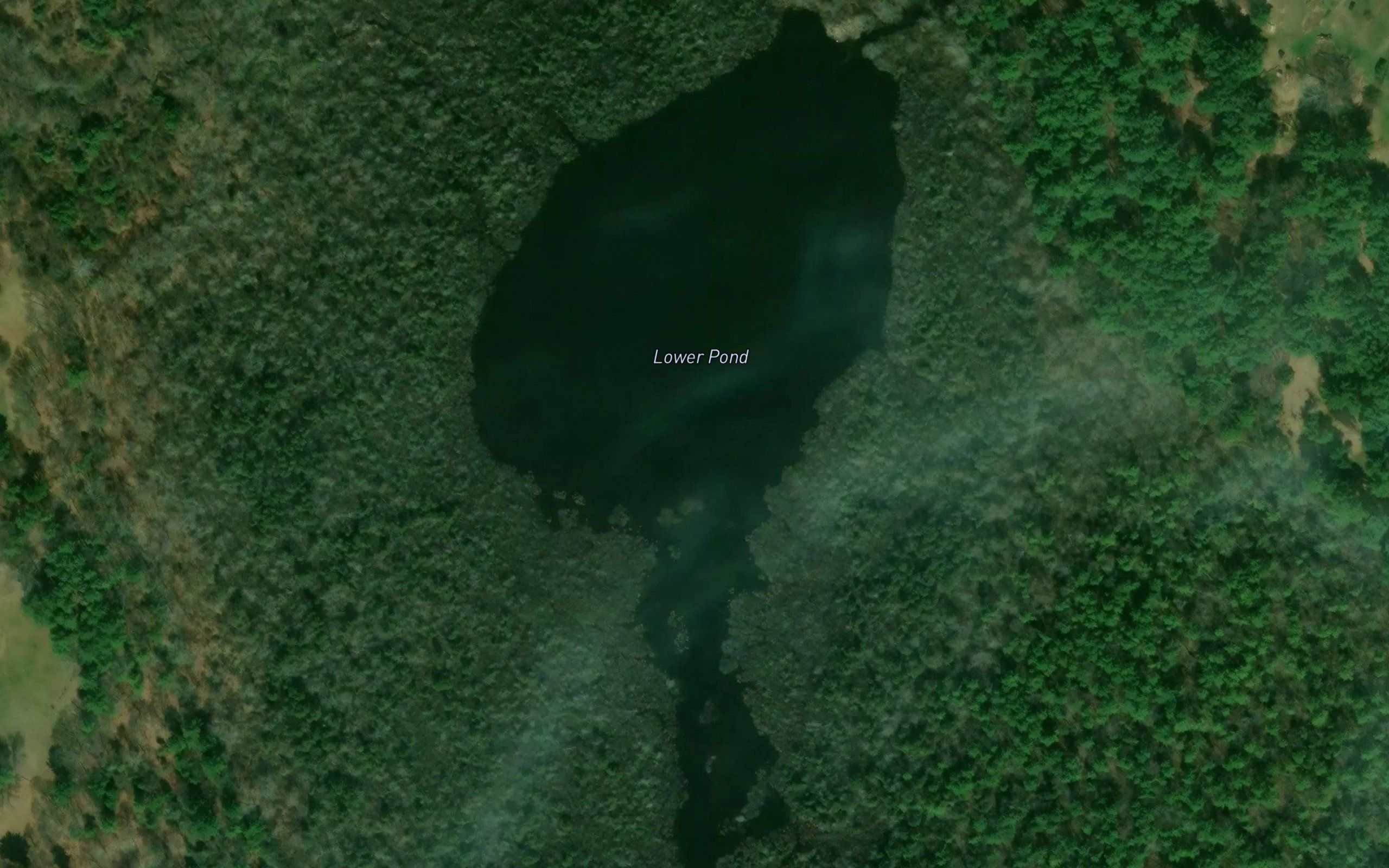 Lower Pond