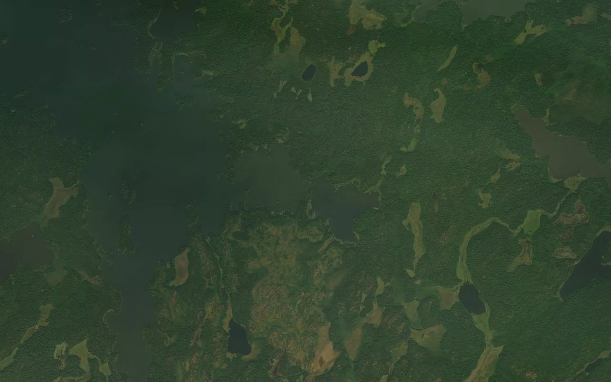 Lost Lake Fishing in Ontario 2026 — Live Reports, Forecast & AI Insight ...
