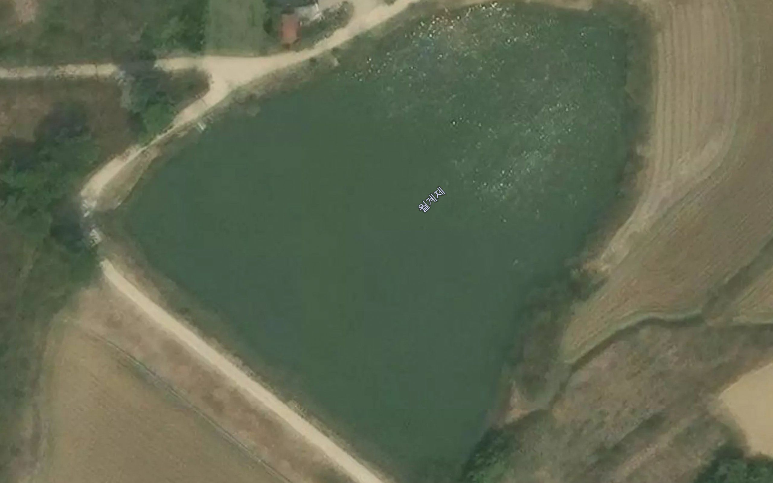 Wolgyeje