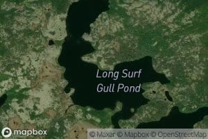 Long Surf Gull Pond