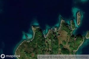 Reinvika