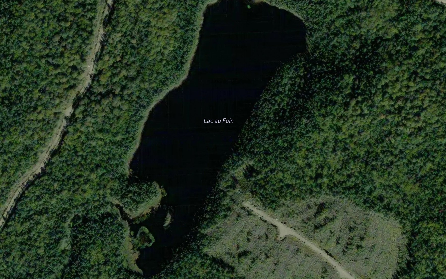 Satellite map of the Lac au Foin